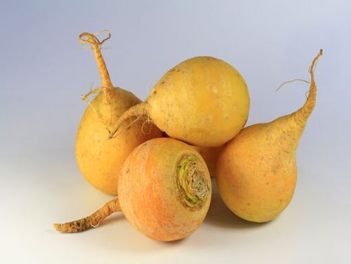 Rübe